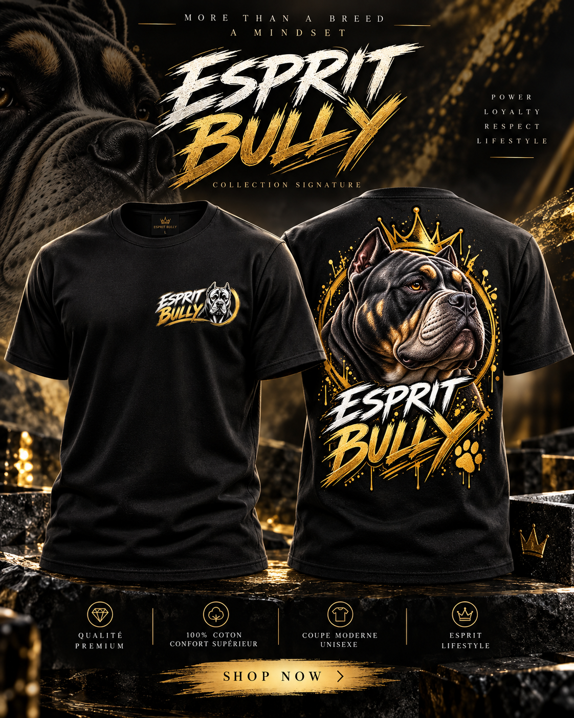 T-shirt Esprit Bully – Black & Gold 👑