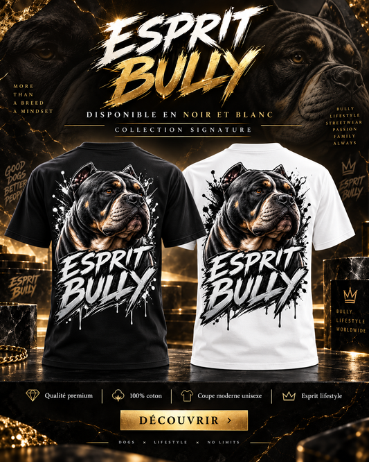 T-shirt Esprit Bully – Urban impact